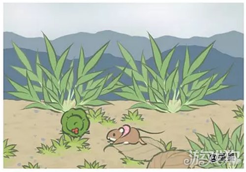 旅行青蛙关于三叶草和四叶草的不同？
