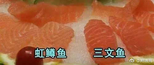三文鱼和虹鳟鱼的区别是什么？怎么分辨是不是三文鱼？